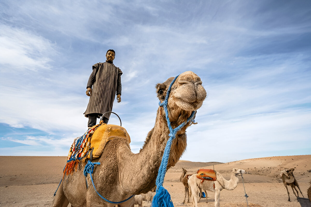 Camel Ride Marrakech